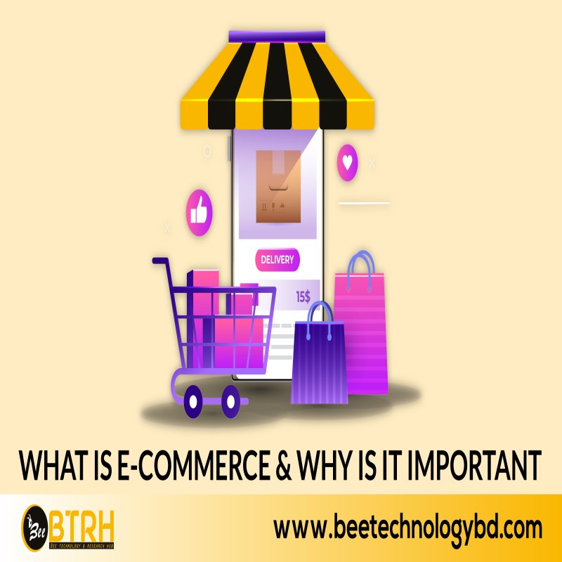 What is E-Commerce & Why is it Important